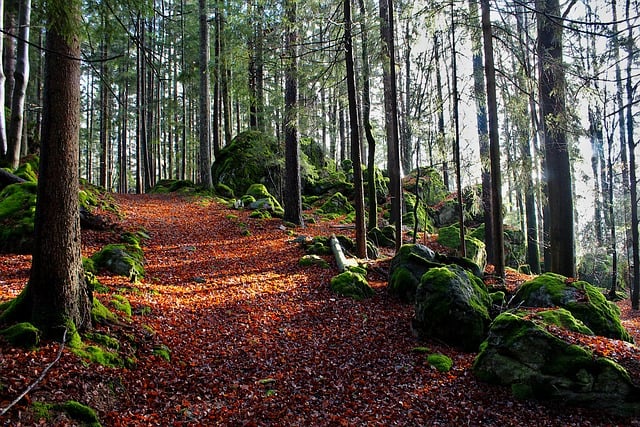 Life Path Number 7: Meaning, Traits & Compatibility