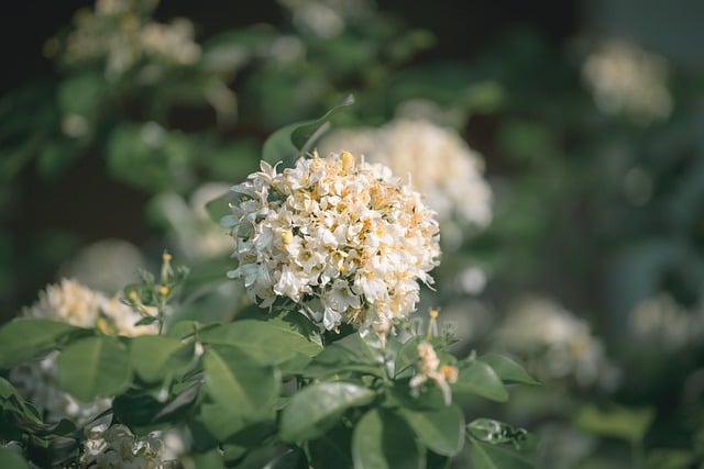 Moon Rituals for Beginners: Simple Practices for Each Phase